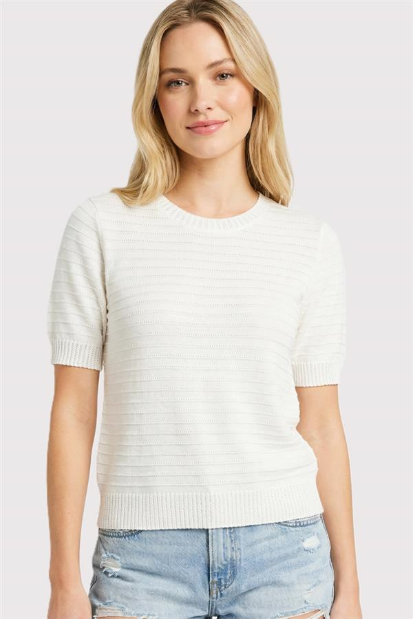 Staccato | Pointelle Texture Striped Crew Neck Short Sleeve Sweater